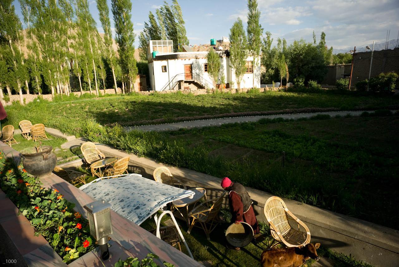 Silver Cloud Ladakh Leh Exterior photo
